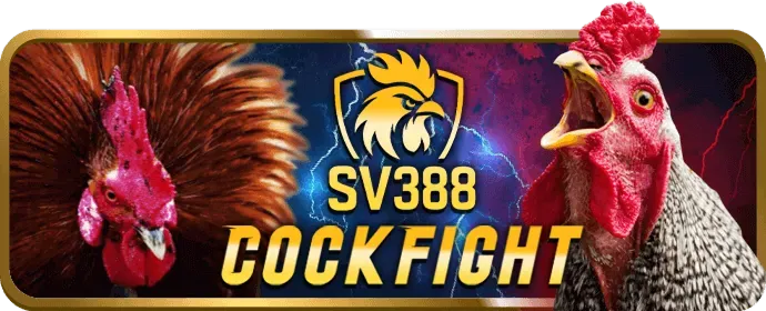 Đội ngũ chuyên gia của oxy88